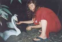 dolano with swan